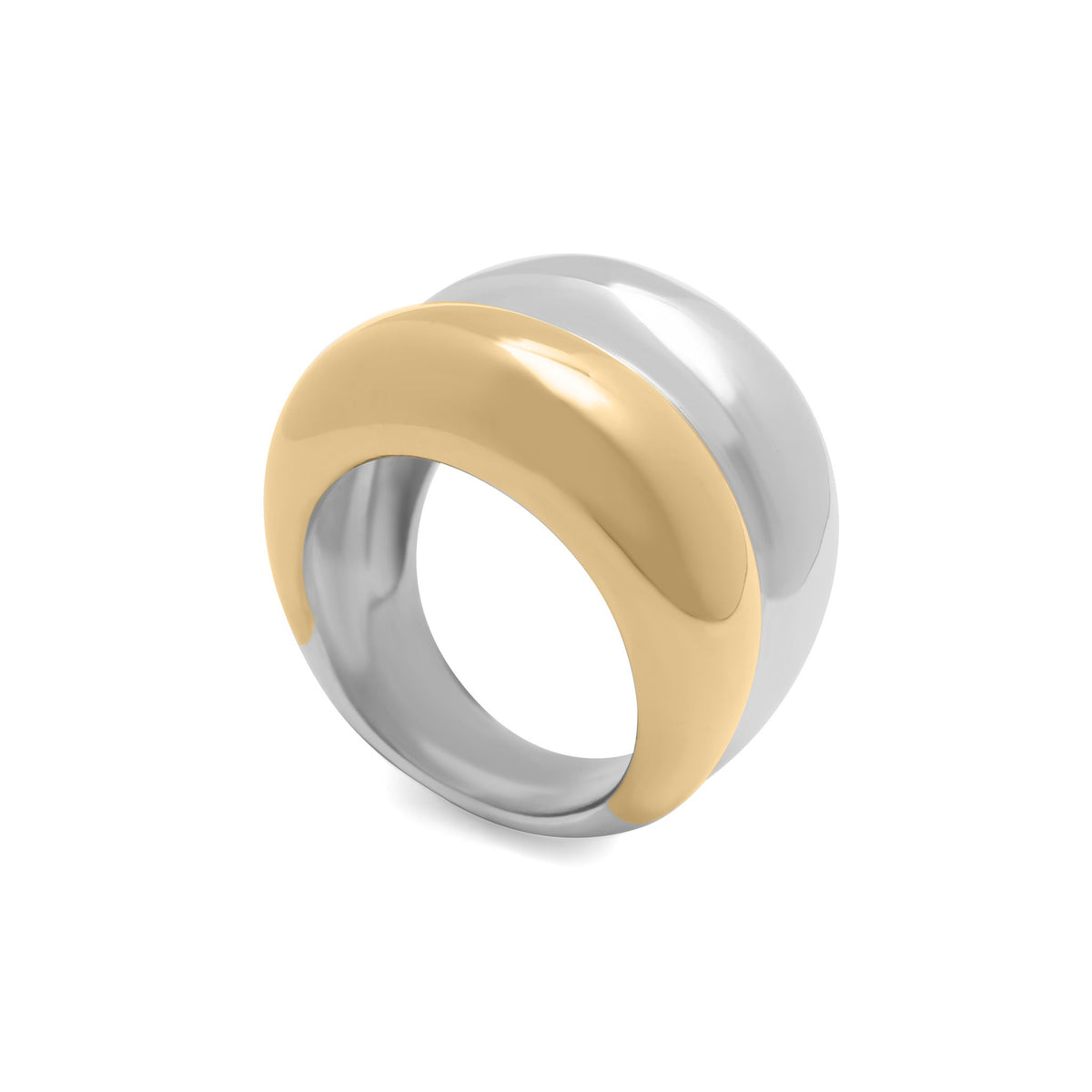 Mixed metal side by side ring, side view