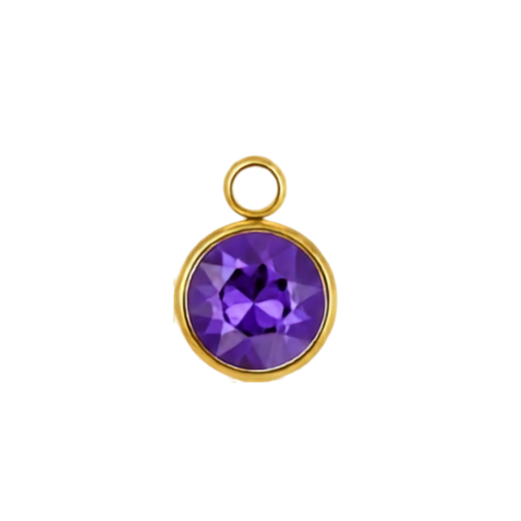 Iris Purple Crystal Charm in Gold