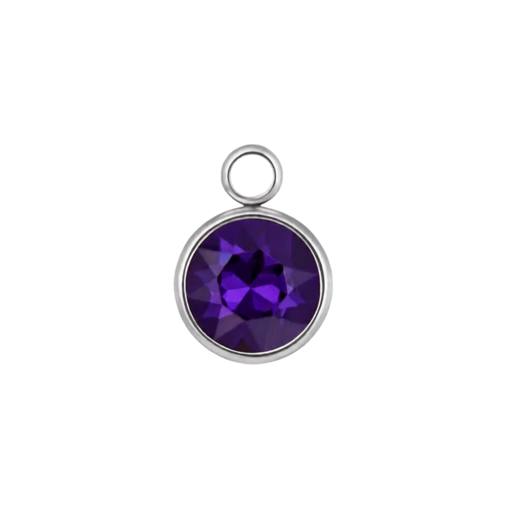 Iris Purple Crystal Charm in Silver